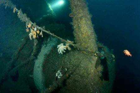 Divers observed the HMS Hawke&#39;s intact guns at the bottom of the North Sea.