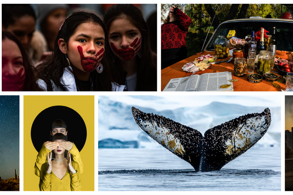 Photo contest collage (longform main)