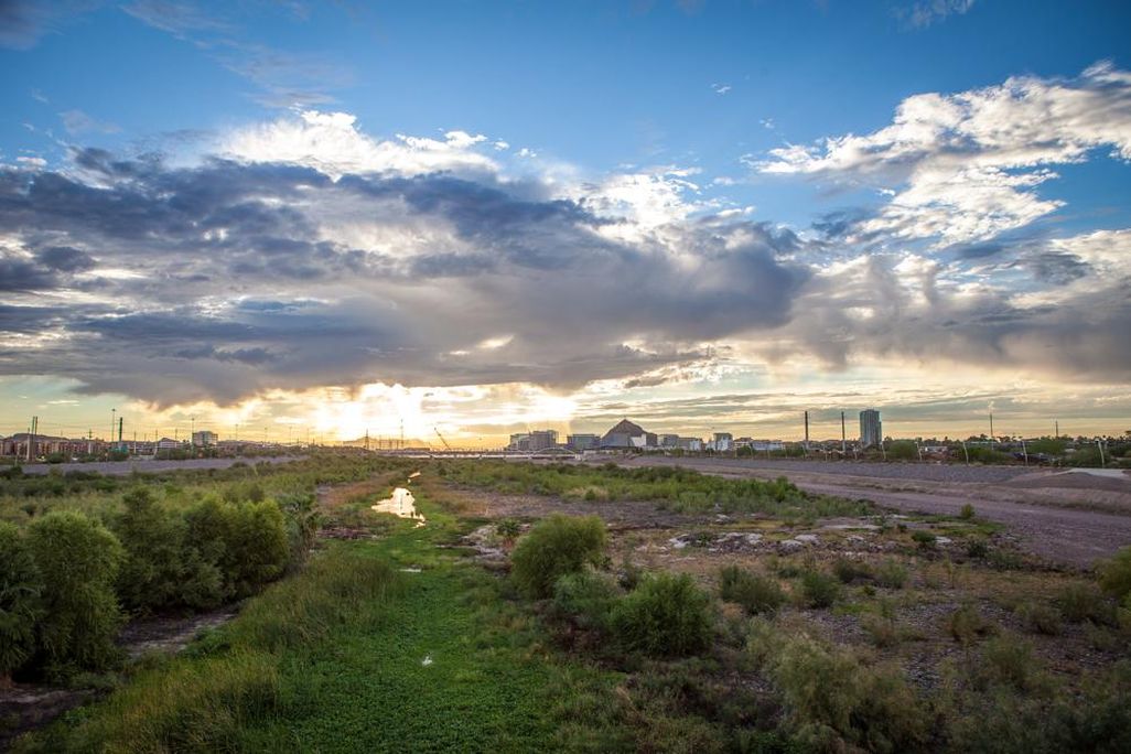 2015_09_Arbas_Salt Cedar AZ-29.jpg