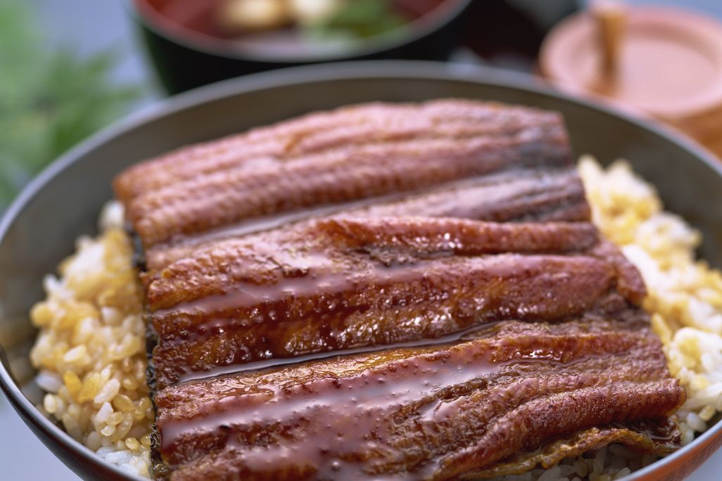 Unagi.jpg