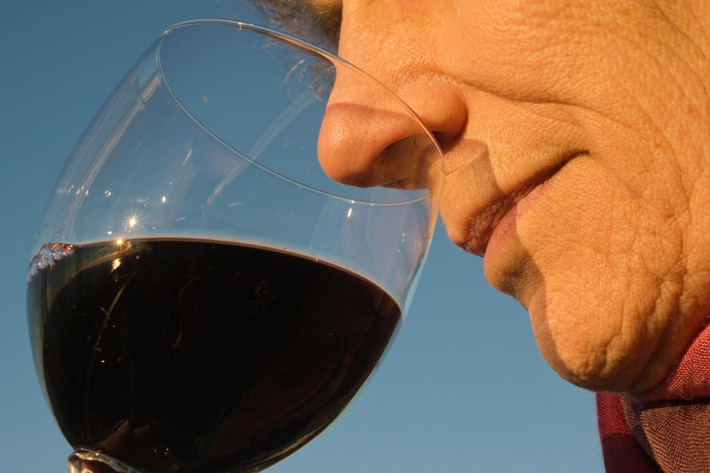 taster smelling glass of wine