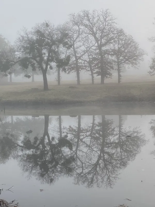 Morning Mist thumbnail