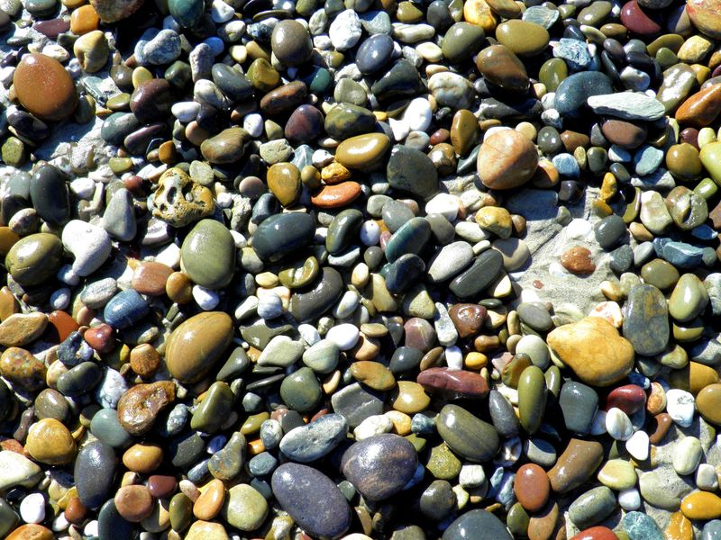 Pebbles On The Beach Smithsonian Photo Contest Smithsonian Magazine