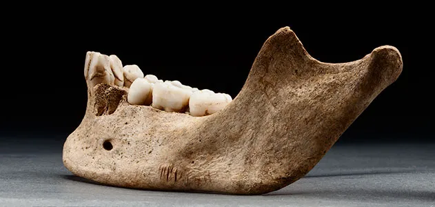 Jamestown remains