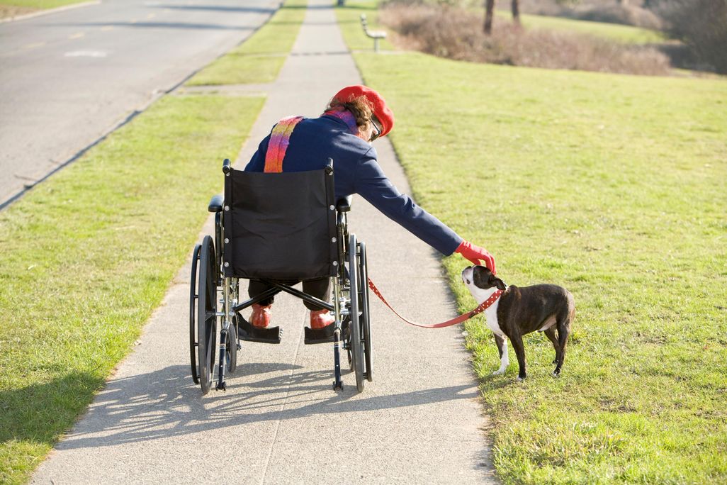 dog and owner