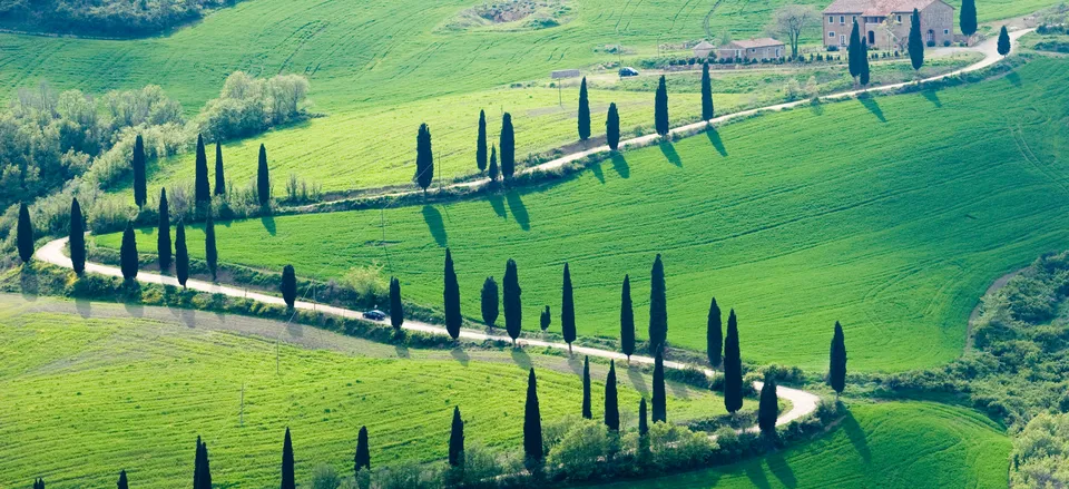  The quintessential Tuscan landscape with rolling hills, cypress trees, and farmhouses  