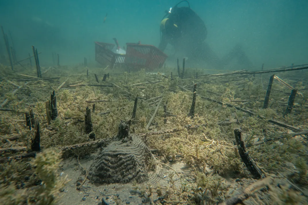 Artifacts underwater