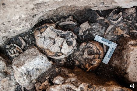 Archaeologists found a 5,300 year old skull, possibly from an elderly woman, that showed signs of early ear surgery.