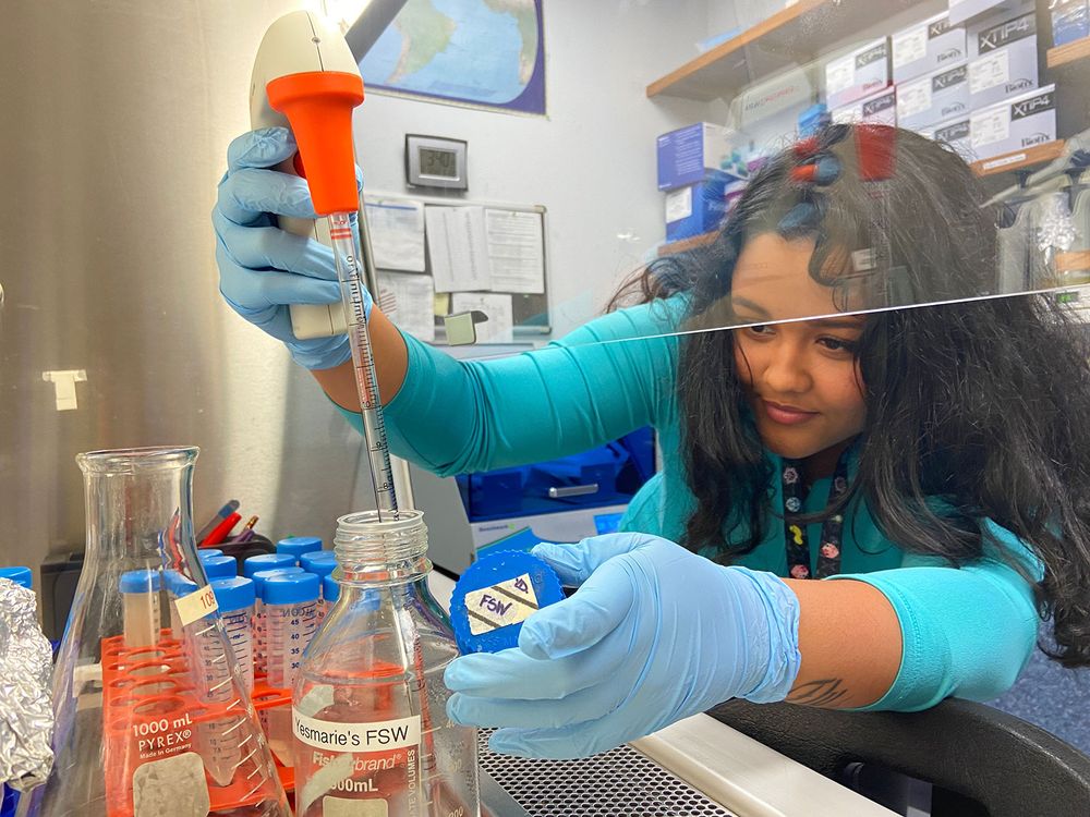 Researcher Preparing Coral Probiotics