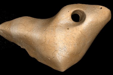 Scientists found that carvings on the bones of giant sloths were made within a few years of the animals' deaths.