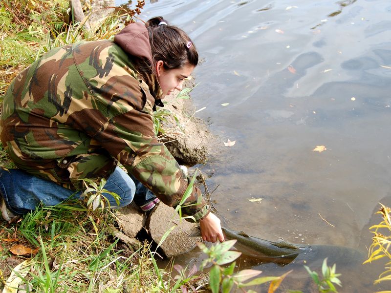 Wisconsin girl release rainbow trout she caught Smithsonian Photo