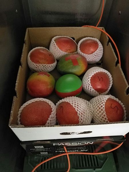 A New Sensor That Looks and Acts Like Fruit Could Reduce In-Transit Produce Waste