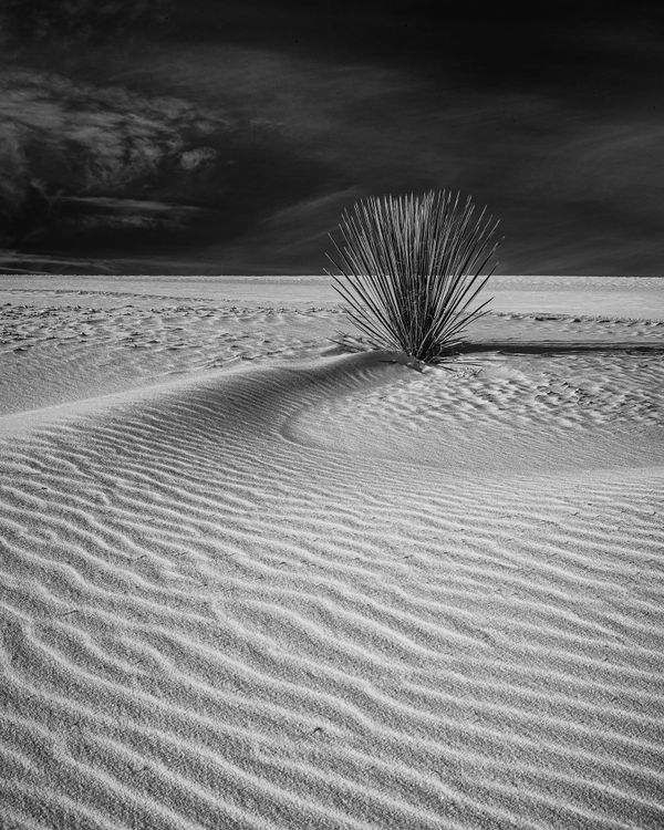 White Sands National Park thumbnail