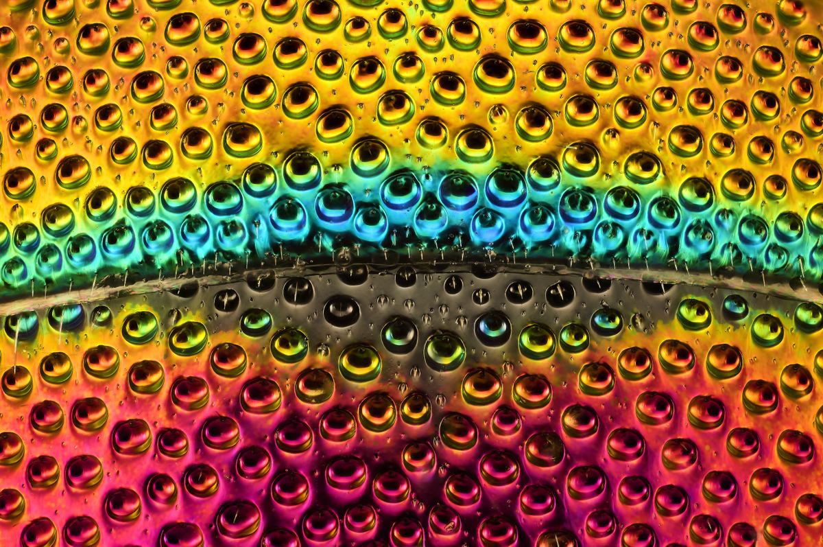 Photographs made through microscope reveal hidden beauty of