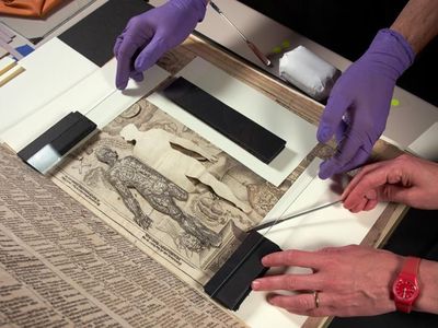 Columbia librarians prepare the 17th-century medical pop-up book for digitization

