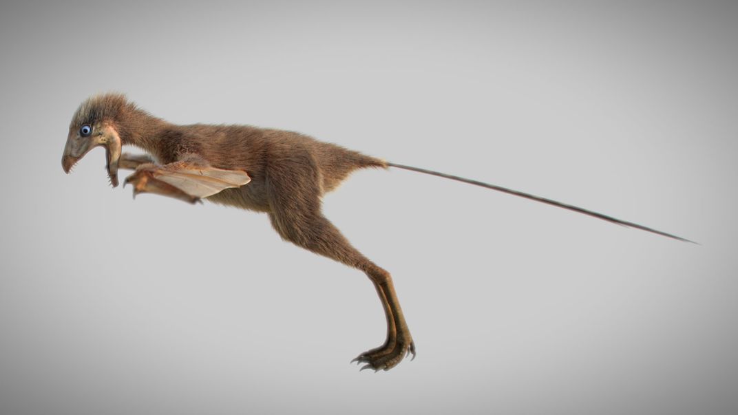 Newly Discovered Bat Like Dinosaur Reveals The Intricacies Of 