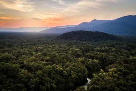 Using satellite-based datasets from 2003 to 2017, a new study identified significant decreases in average rainfall in Southeast Asia, as well as the Amazon and the Congo.