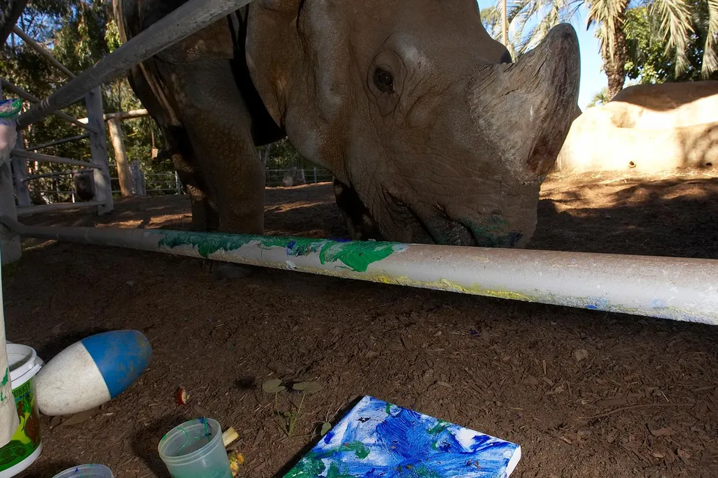paintingrhino3.jpg