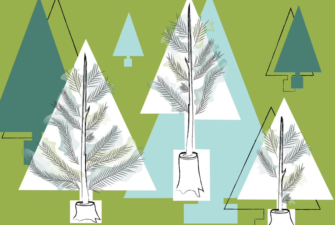 Stump-Grown Christmas Trees Are the Gift That Keeps on Giving ...
