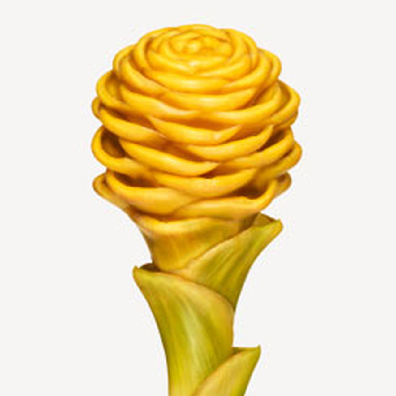 20121212091008Beehive-ginger-