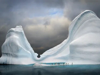 Antarctica: The White Continent description