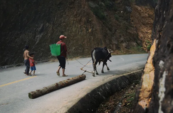 mountain lives thumbnail