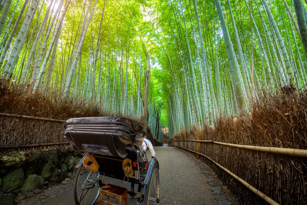 A rickshaw in Arashiyama Bamboo Forest