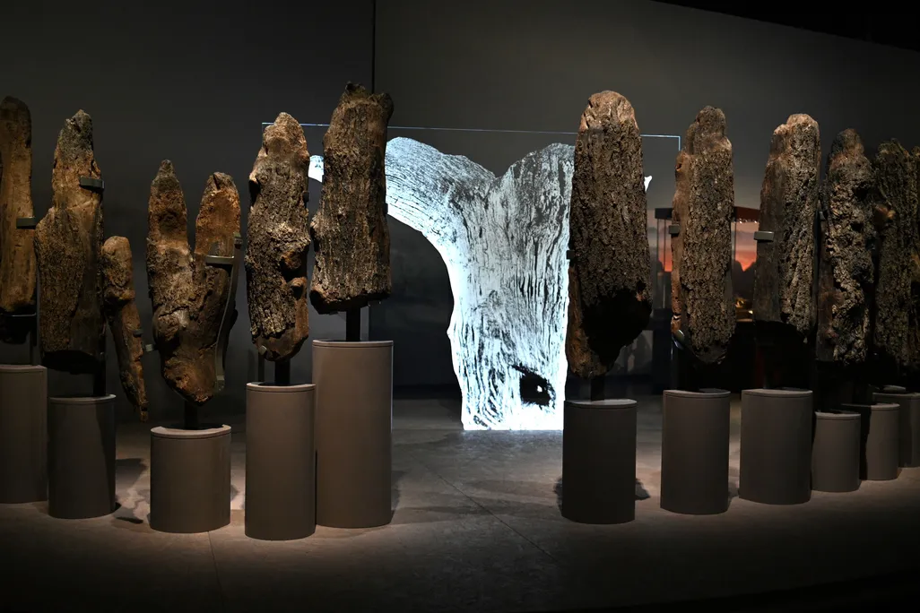 Seahenge museum