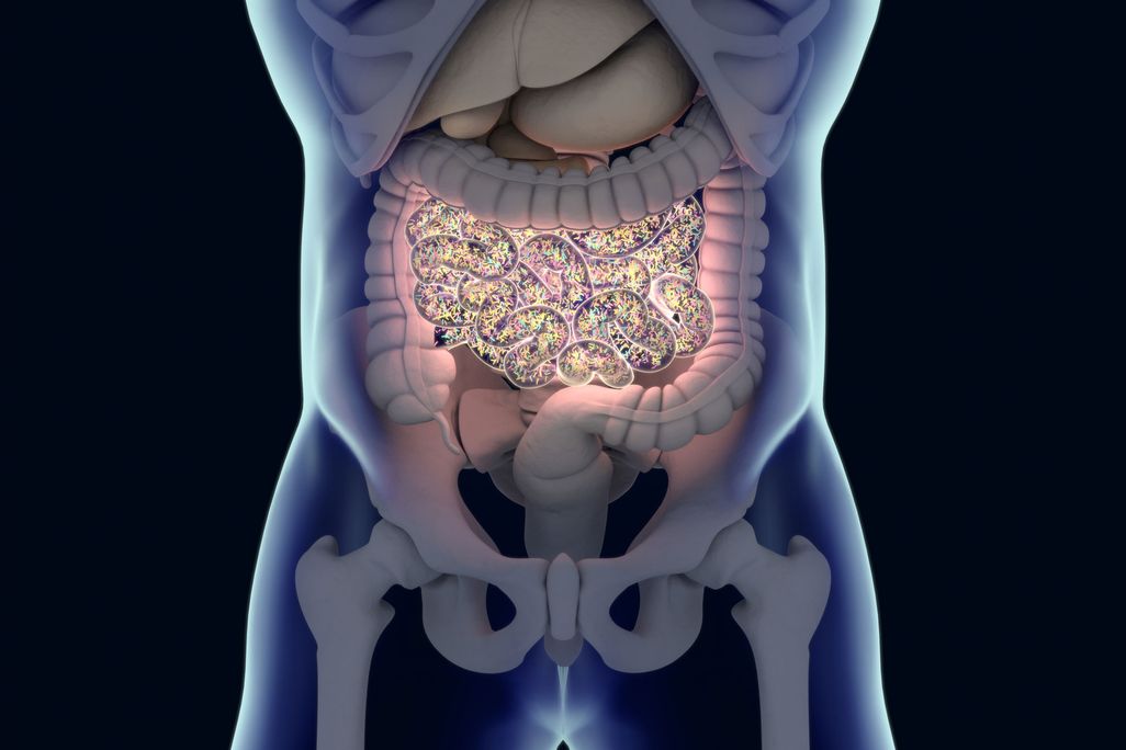 Microbiome