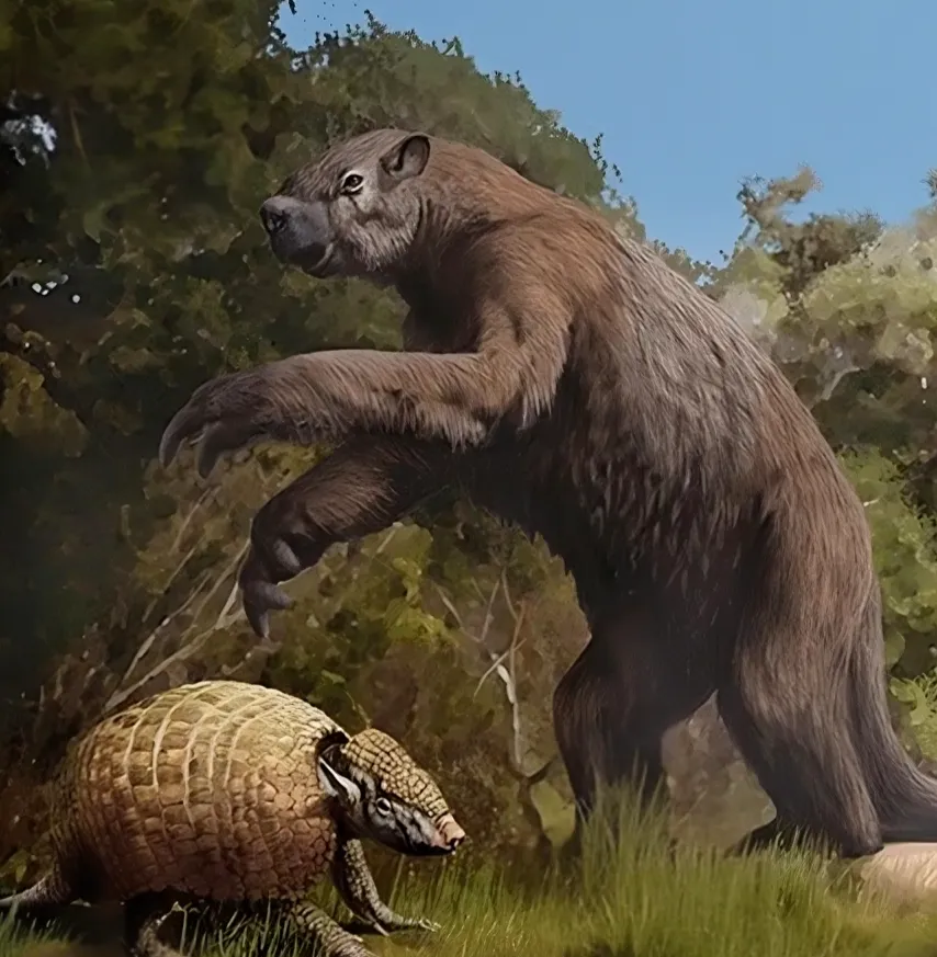 Illustration of a large hair creature behind an armadillo-like animal