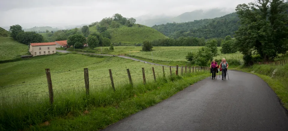  The road to Roncesvalles 