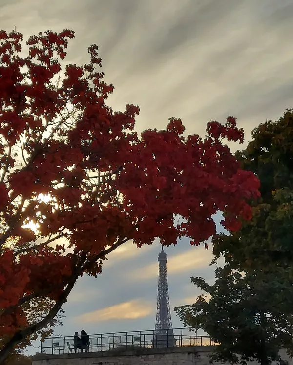 Autumn Eiffel Tower thumbnail