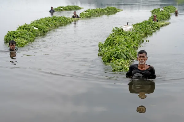 JUTE WORKERS thumbnail