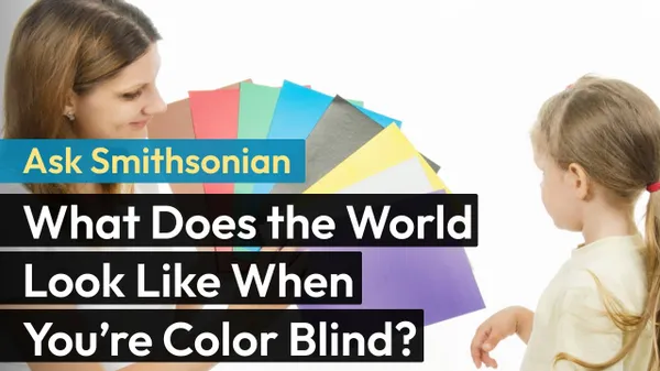 Preview thumbnail for Ask Smithsonian: What Does the World Look Like When You're Color Blind?