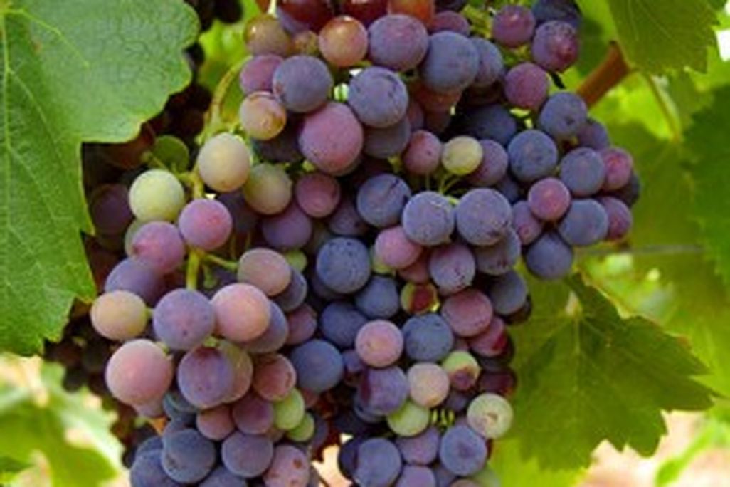 2011052009012492984659_cd33e007d5-286x400.jpg