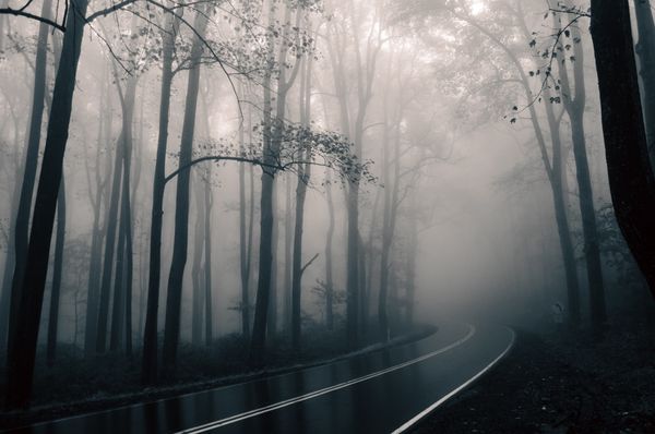 Shenandoan Fog thumbnail