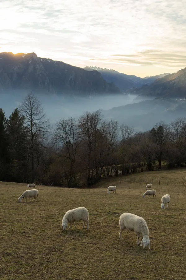 Pastoral sunset over Orobie mountains. thumbnail