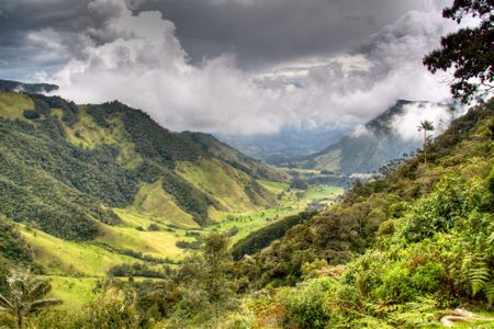 With its peace accords up in the air, the Colombia's diverse ecosystems face an uncertain future. Shown here: the valley of Cocora near Salento, Colombia.