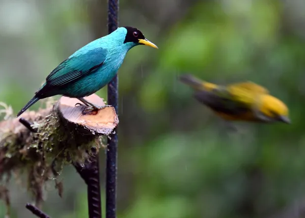 Do I know this guy? thumbnail