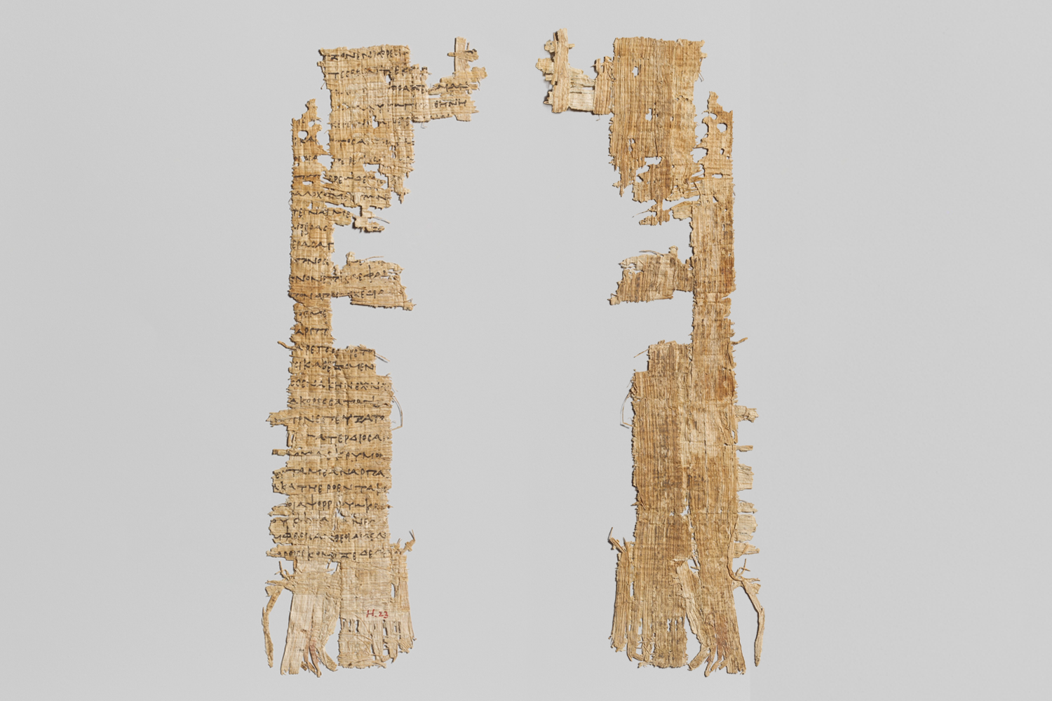 A small, weathered papyrus fragment with ancient Greek writing displayed vertically in a glass case, showing both the inscribed front and the blank woven reverse.