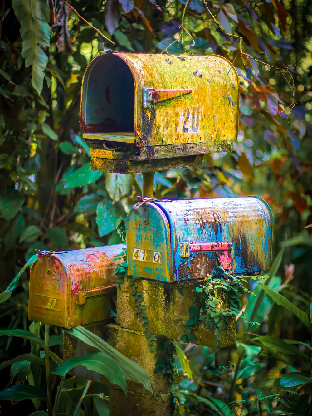 Mailboxes and mildew, quite a colorful combination.