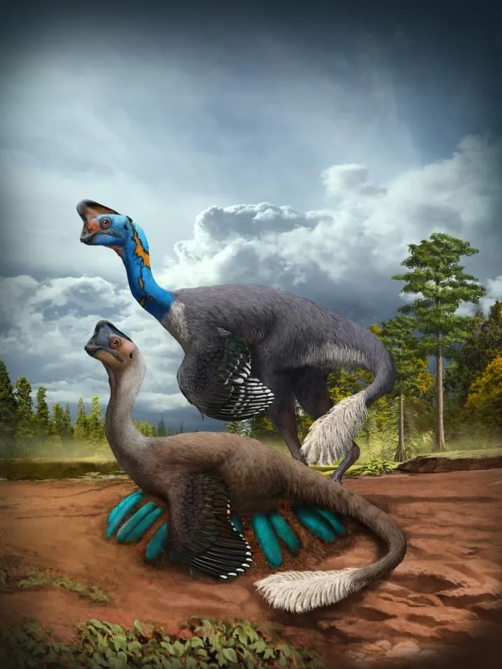 An artist representation shows two oviraptorid dinosaurs brood on a nest of blue-green eggs