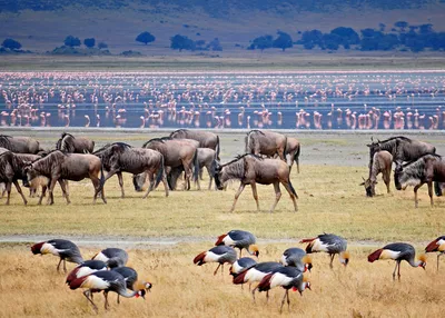 tailor-made-travel-tanzania