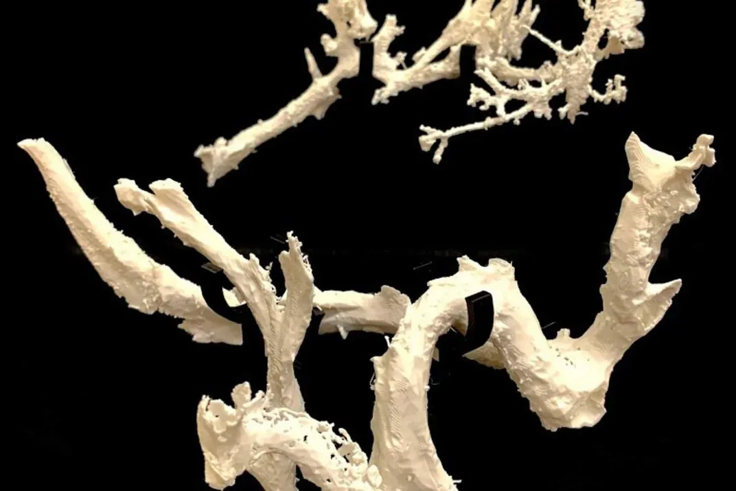 white, 3D printed spindly structures on a dark background