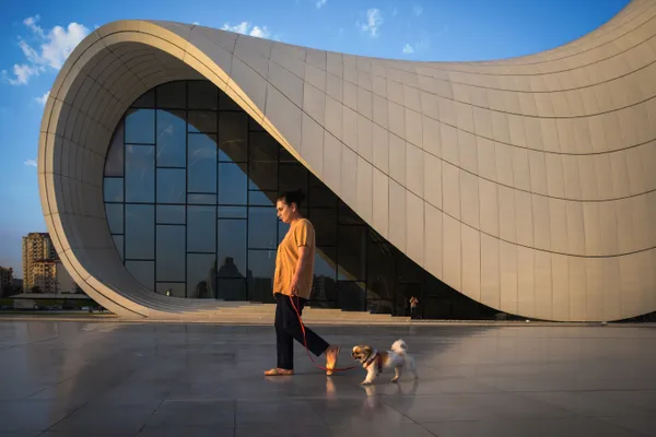 Passing by a dog in front of the most important cultural center in the world thumbnail