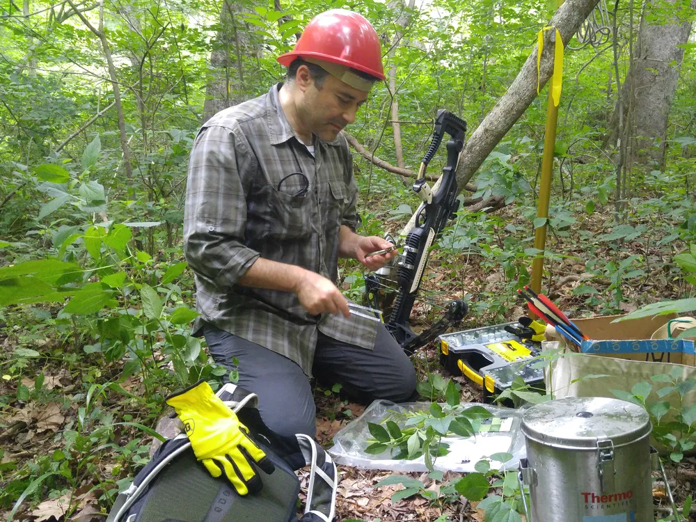 Uzay Sezen, wearing a red hard hat, kneels in a forest with a crossbow on his left and a sample of green leaves in front of him