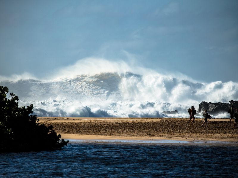 Eddie aikau essay contest 2011 winners image