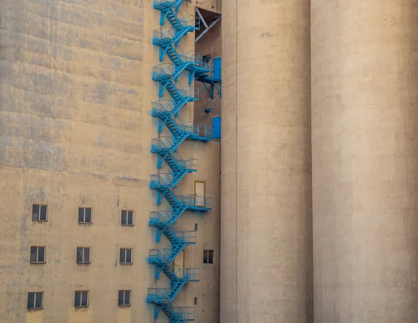 The Blue Spine thumbnail