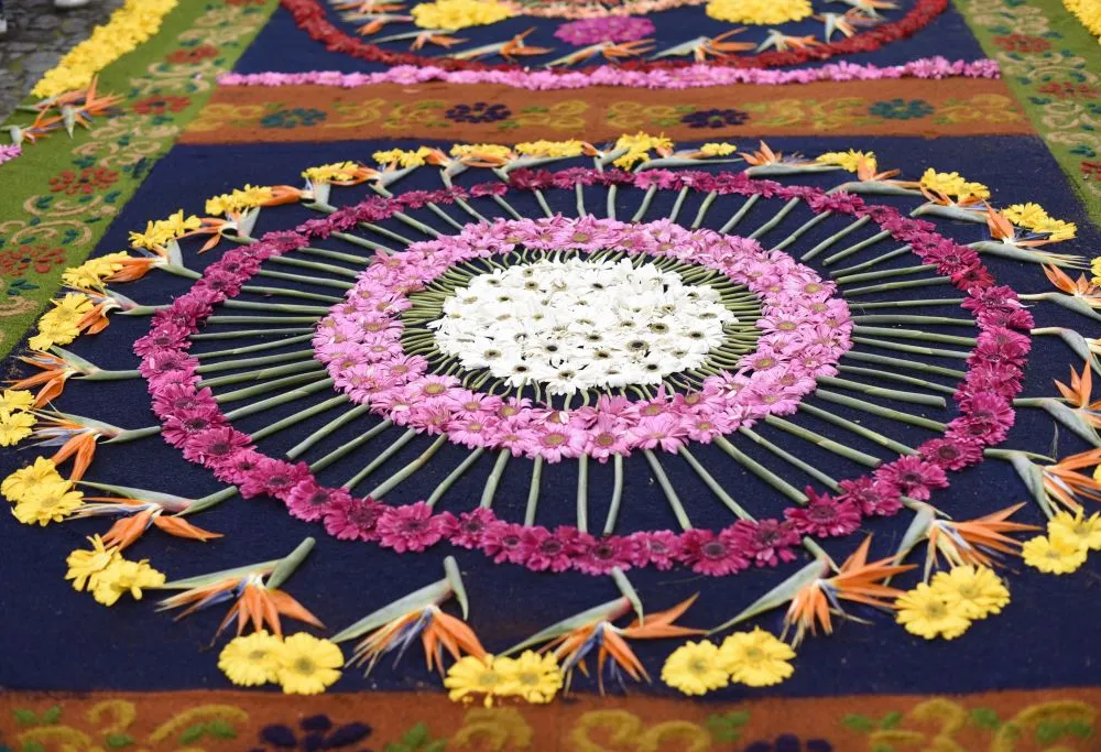 sawdust and flower carpet