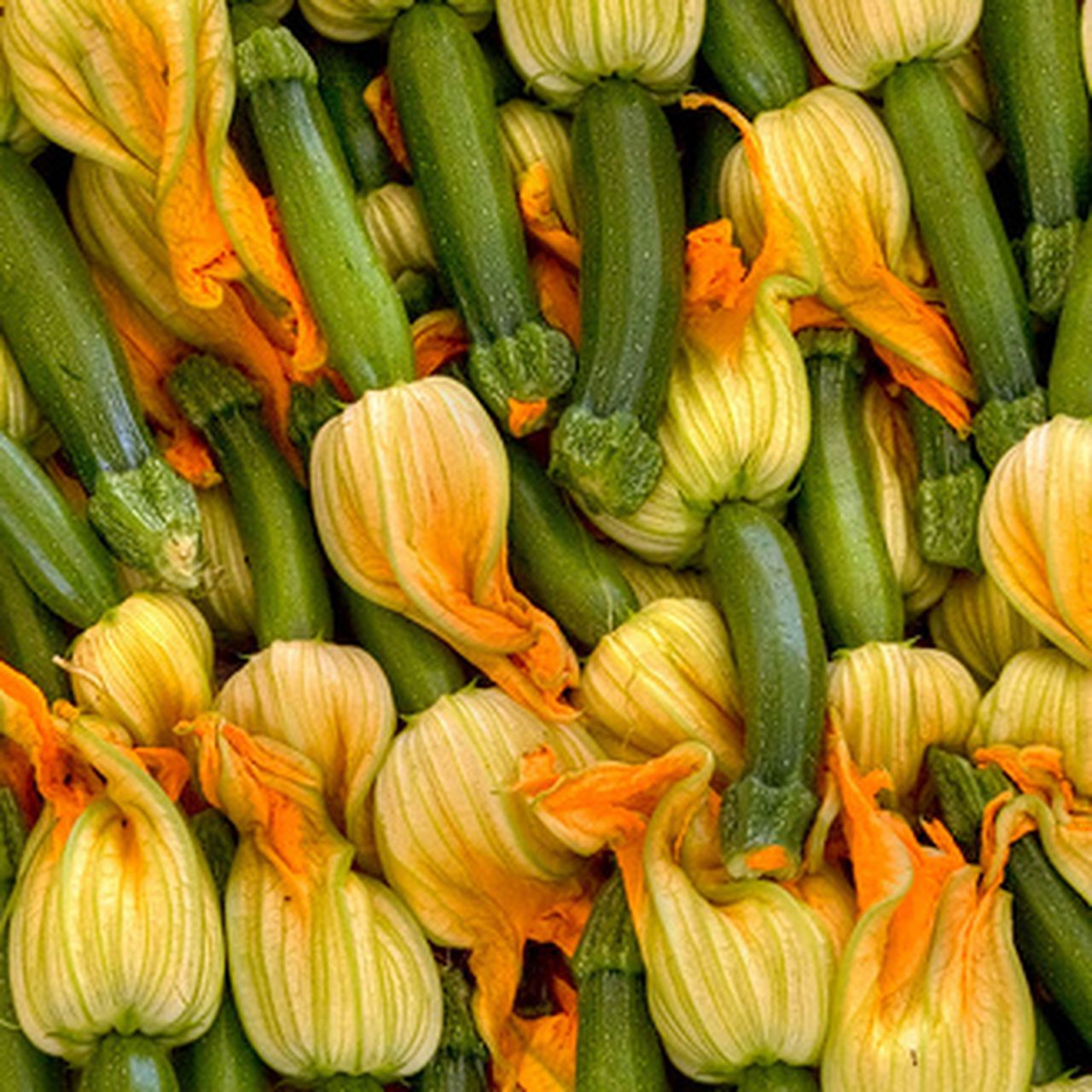 Food of the Moment: Squash Blossoms